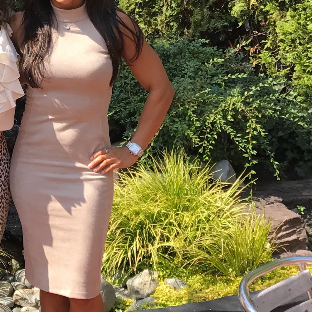 Bebe taupe velvet dress